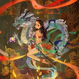 虞美人盛开