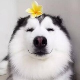英雄好汉