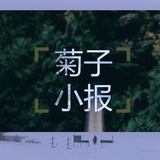 菊子小报