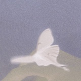 Miwuu