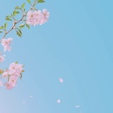 我该起什么名字