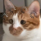 、她べ卜想ta叻
