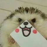 世界上最大吃货