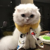 鹿为