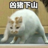 椰奶超甜