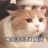 论坛杀手