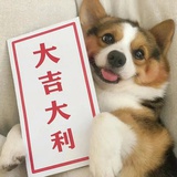 心想事成好运来