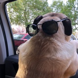 S96