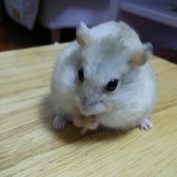 想要退休