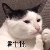 iko