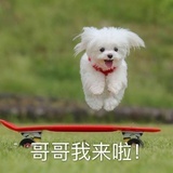 夏天