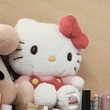 简汝