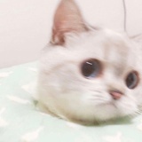 21.
