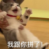 晏晏Cynthia