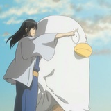 井蛙言海