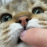 offer来
