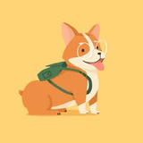 爱听窜天猴