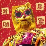 小聪伴斗富