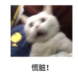 nicobuzaixian