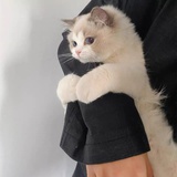 你看我理你吗