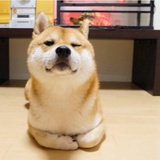 cc克莱尔