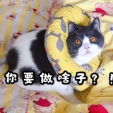 今天的小确幸