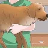 有点困