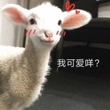 开心就好