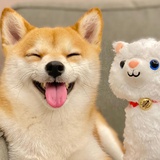 一枚宅宅
