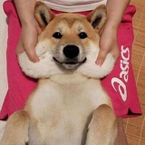 二二二小姐