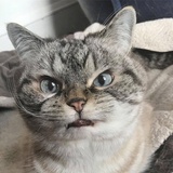 噗(⁎⁍̴̛ᴗ⁍̴̛⁎)