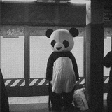 李富强是草莓味