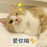 蜜汁李嘉欣