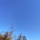 社会废物