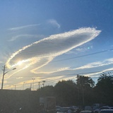 秦奋