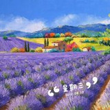 V科凡