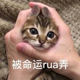 你太爷爷