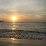 sunny565753