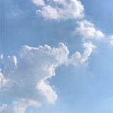 失言