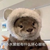 再喜欢我一次嘛