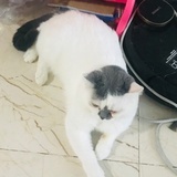 娜可露露