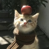 暖暖