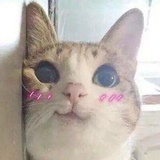 天好热啊