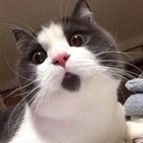 复古
