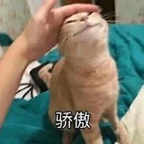 已注销