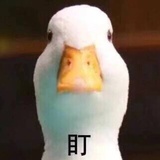松鼠怕冷