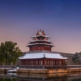 棠梨子