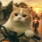 悲伤牙齿综合症