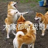 吧啦吧啦yoyo
