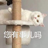 风软一江水